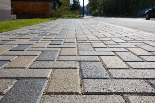 Best Driveway Paving Contractor  in Pilot Mountain, NC